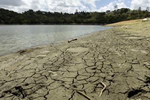 Imagen del artículo de El Vocero: Aprueban declaración de desastre por sequía para 26 municipios de Puerto Rico