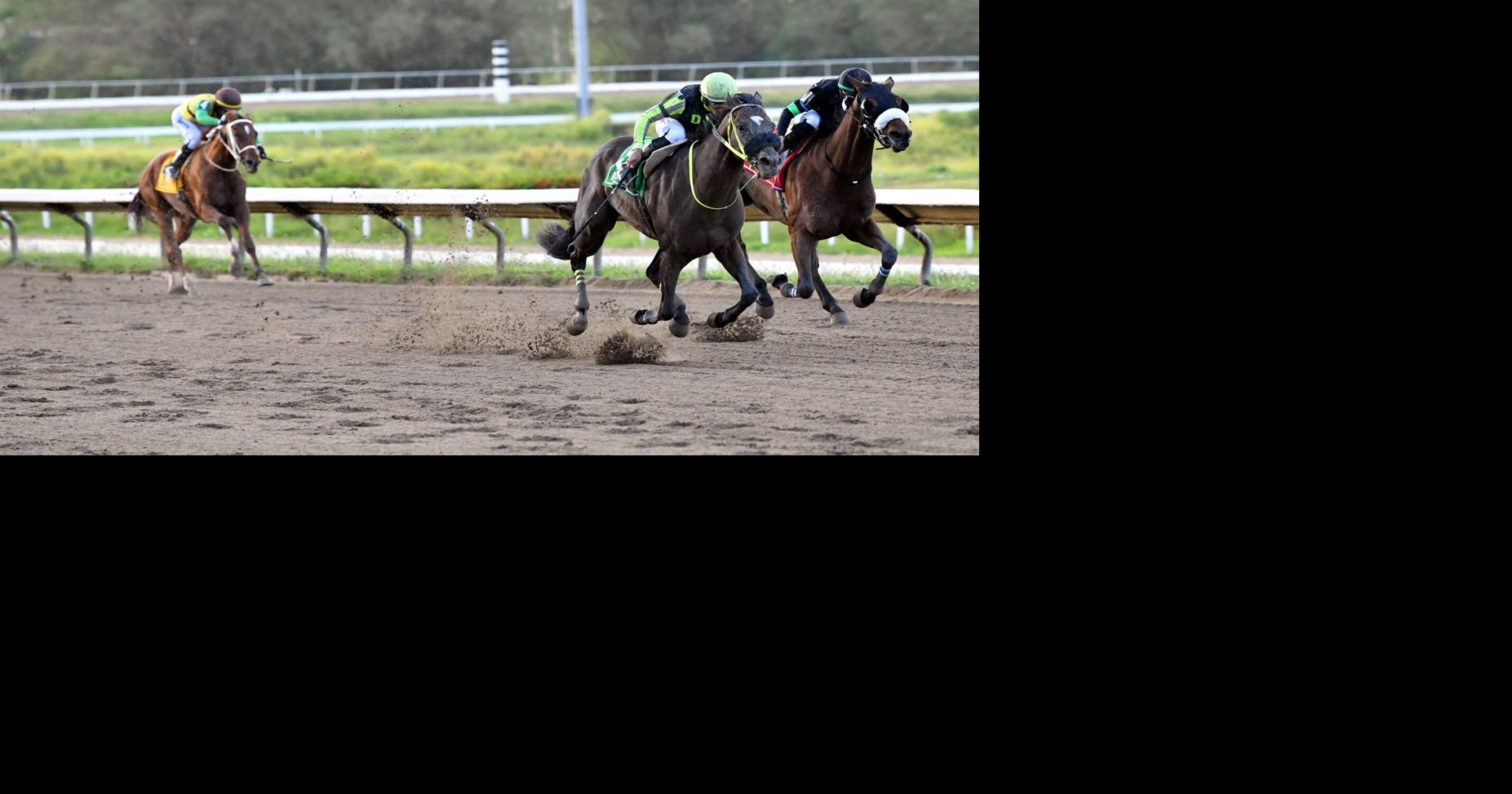 Iron Skull gana edición 81 del clásico Antonio R. Barceló en hipódromo Camarero
