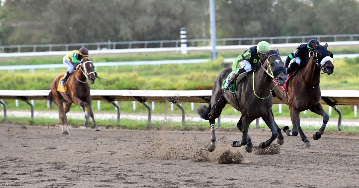 Iron Skull gana edición 81 del clásico Antonio R. Barceló en hipódromo Camarero