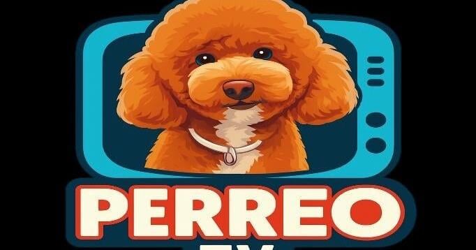 PERREO TV estrena el 20 de junio por WAPA TV con Miss Bali como embajadora