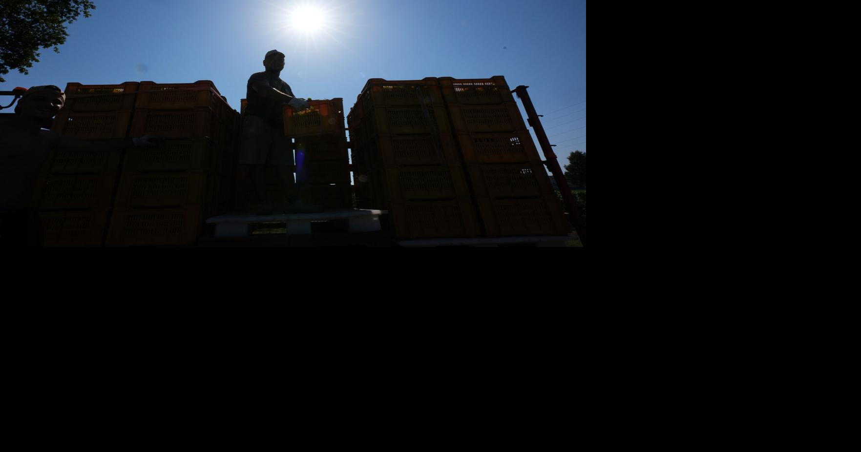 SNM emite advertencia de calor para 56 municipios y alerta sobre riesgo de incendios en el sur