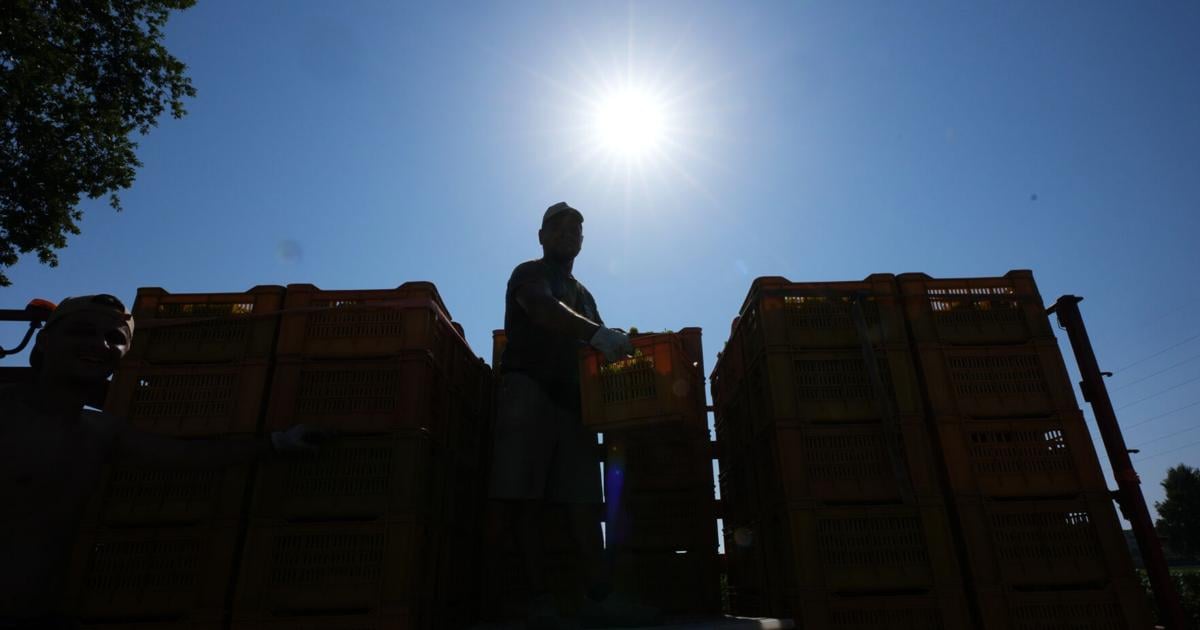 SNM emite advertencia de calor para 56 municipios y alerta sobre riesgo de incendios en el sur