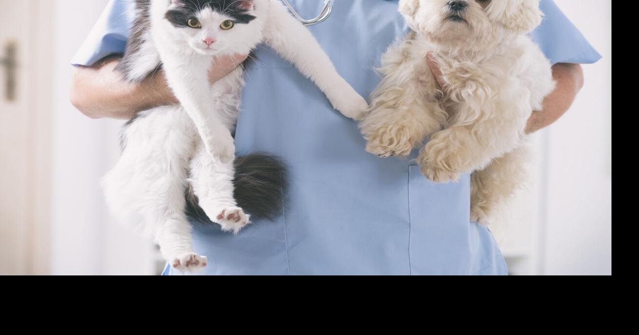 Yauco inaugura "Patitas de Esperanza", primera clínica veterinaria rodante del suroeste de PR