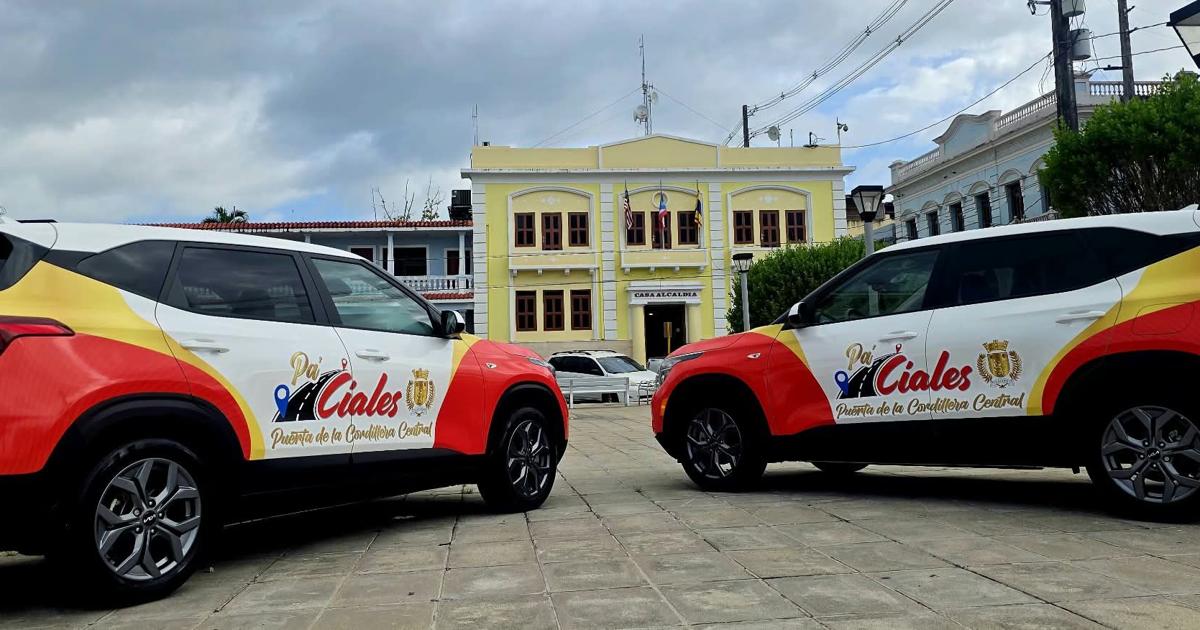 "Pa' Ciales": municipio lanza sistema de transporte colectivo gratuito para residentes