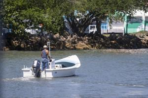 Imagen del artículo de El Vocero: DRNA contabiliza cifra récord de licencias de pesca comercial vigentes