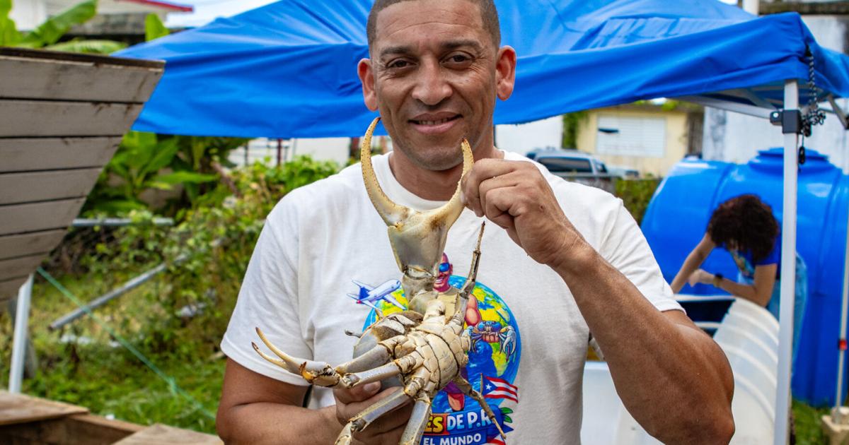 VIDEO: El boricua que convirtió los jueyes en puente de nostalgia para miles de familias en Estados Unidos
