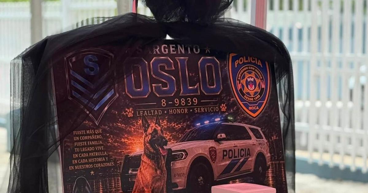 Moca despide a Oslo, el perro policía que sirvió seis años en la seguridad municipal