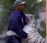 Mike Tyson