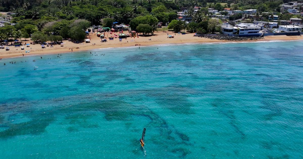 Playa Puerto Nuevo de Vega Baja obtiene su octava Bandera Azul