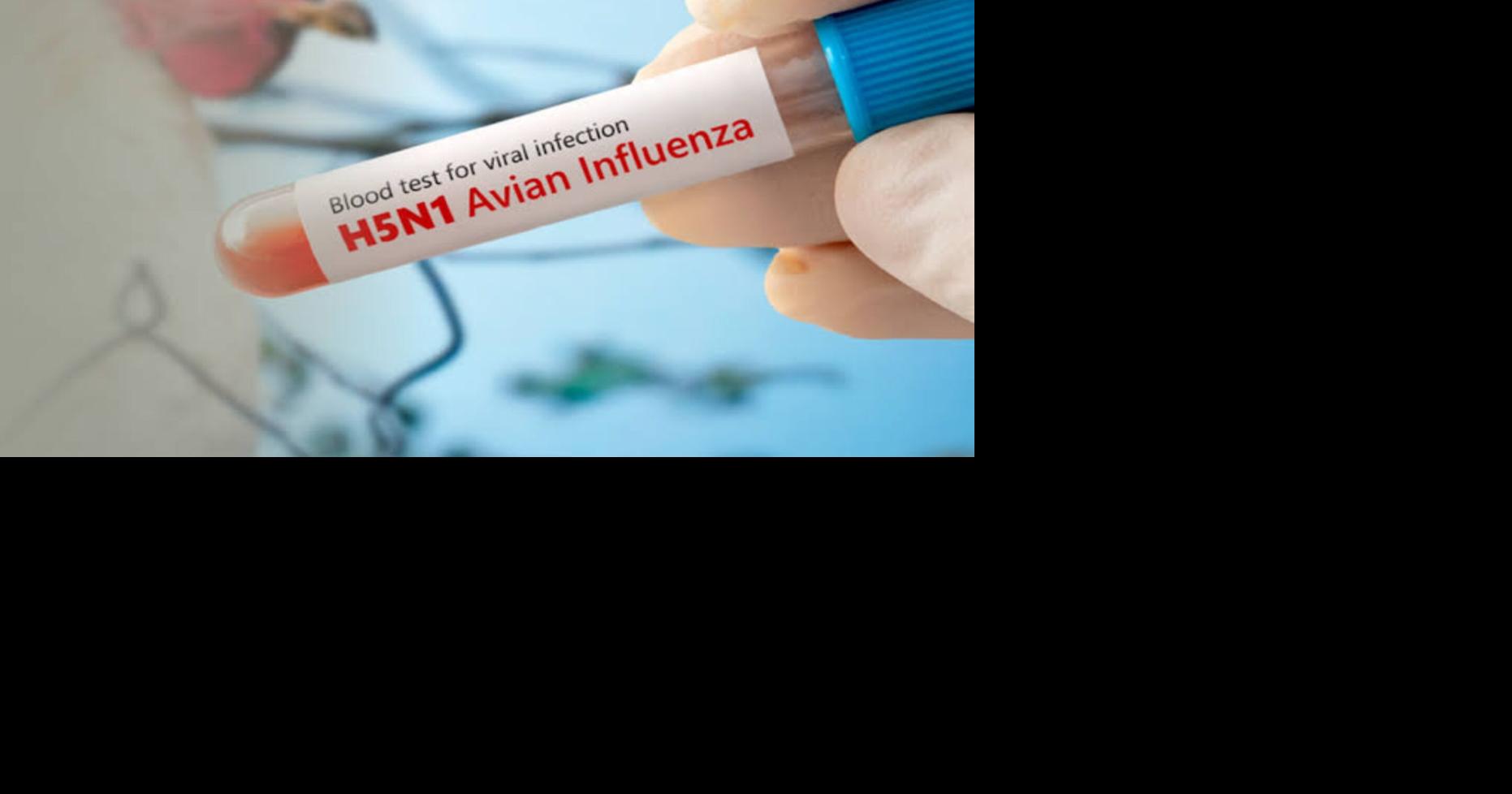 Agricultura investiga casos sospechosos de influenza aviar en Cabo Rojo y Lajas