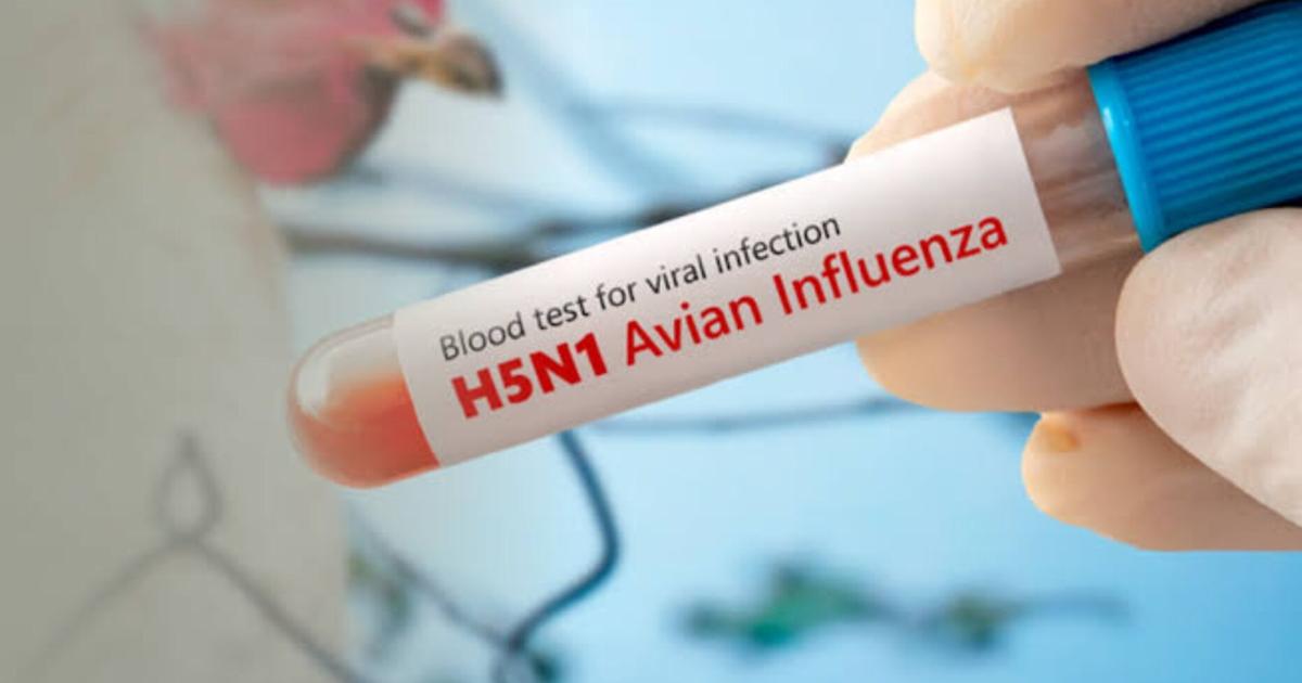 Agricultura investiga casos sospechosos de influenza aviar en Cabo Rojo y Lajas