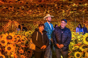 Imagen del artículo de El Vocero: ¿Dónde podrás ver la nueva experiencia inmersiva de Vincent van Gogh que llegará a la Isla?