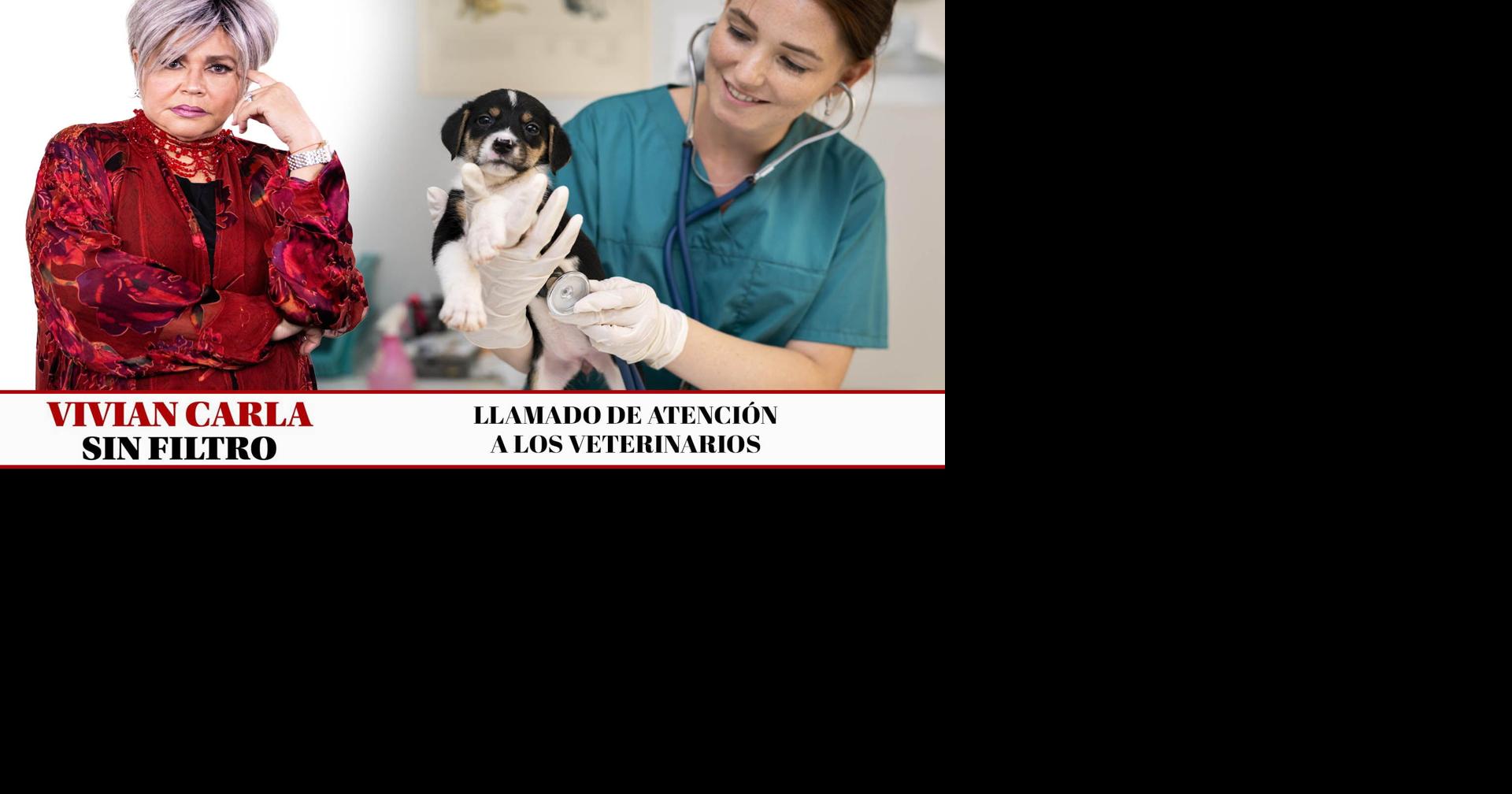 | Esto es lo que tuvo que decir la mentalista.