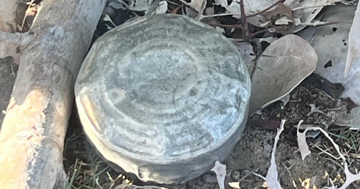 Hallan artefacto que aparenta ser una mina militar en playa de Humacao