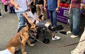 Imagen del artículo de El Vocero: Reconocen a menor en Utuado tras pedir ayuda al 9-1-1 durante una emergencia