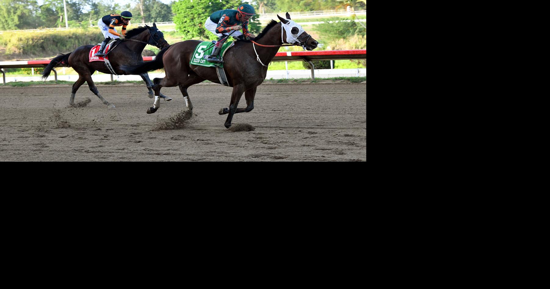 Keen Cat gana el clásico José Celso Barbosa en el hipódromo Camarero
