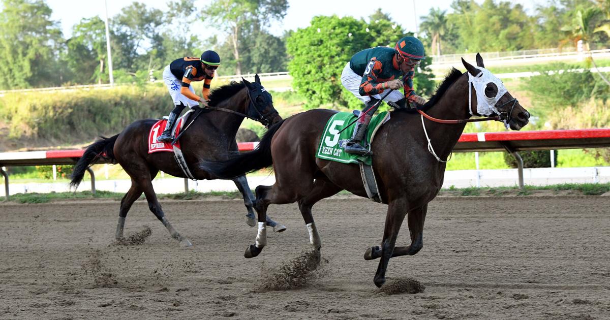 Keen Cat gana el clásico José Celso Barbosa en el hipódromo Camarero