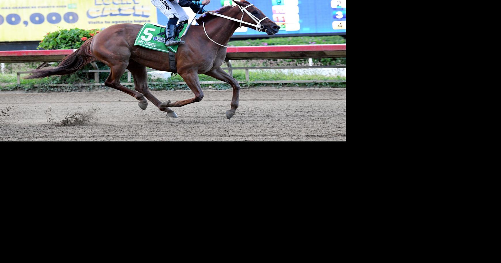 Retiran a Mor Lemonade de segunda carrera en el hipódromo Camarero por cólico leve