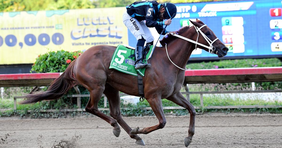 Retiran a Mor Lemonade de segunda carrera en el hipódromo Camarero por cólico leve