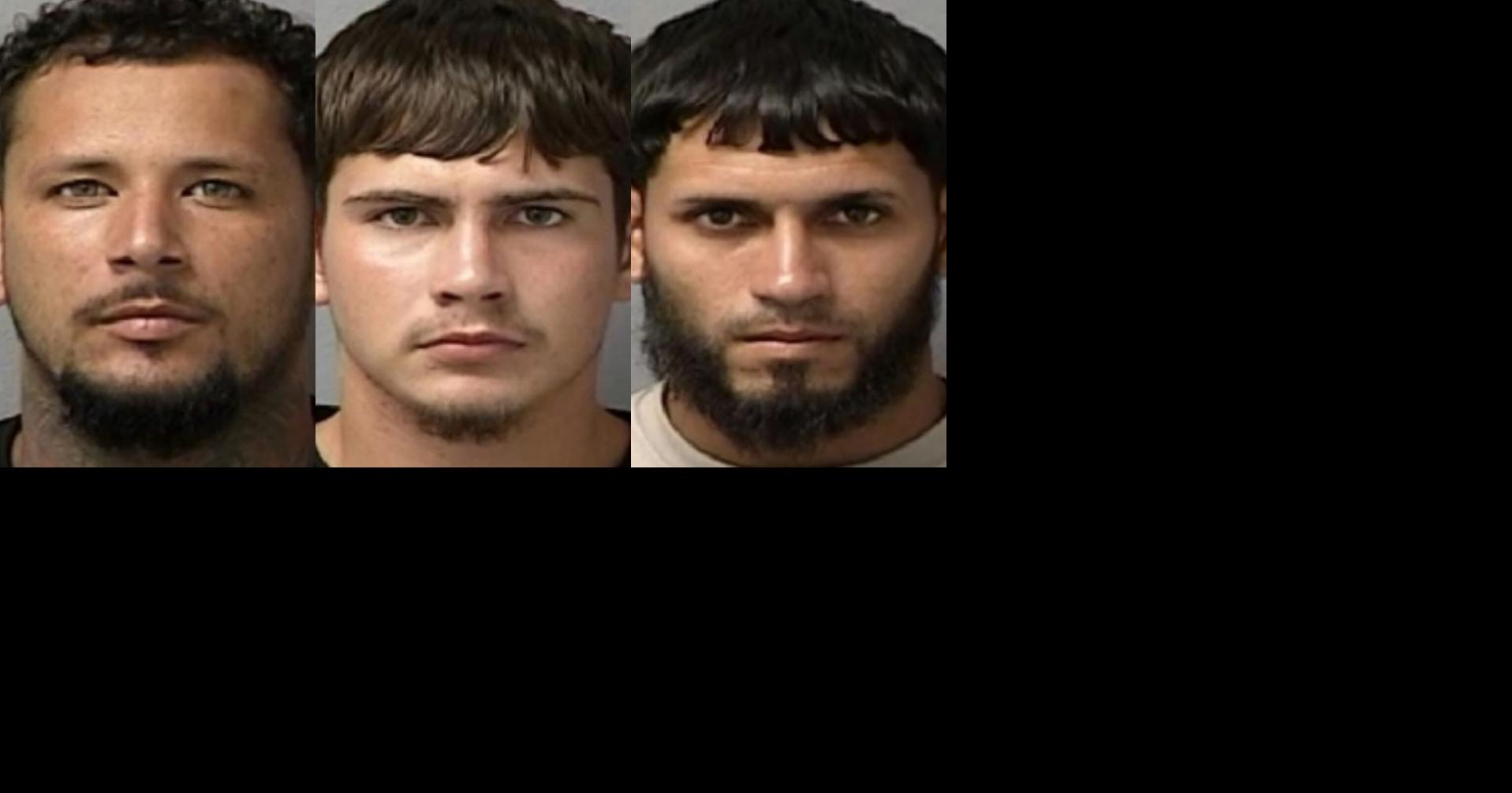 Tres hombres enfrentan fianza de $60,000 por hurto de pacas de heno en Barceloneta