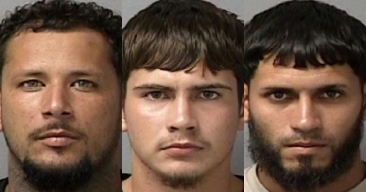 Tres hombres enfrentan fianza de $60,000 por hurto de pacas de heno en Barceloneta