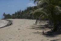 20200409_VR_ZONA_TURISTICA_PLAYAS_JB_3.JPG