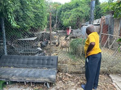 Mi comunidad reclama: Terreno con animales en Ponce afecta a residentes