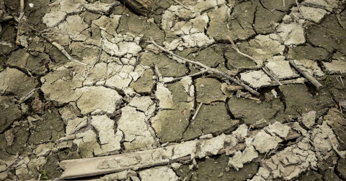 Disminuye la sequía en Puerto Rico, pero el sur mantiene condiciones extremas