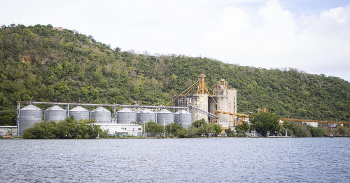 Alertan sobre posible exposición a sustancias tóxicas en Bahía de Guánica