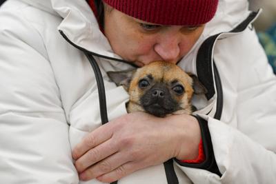 Los refugiados que huyen de Ucrania se aferran a la vida y a sus mascotas