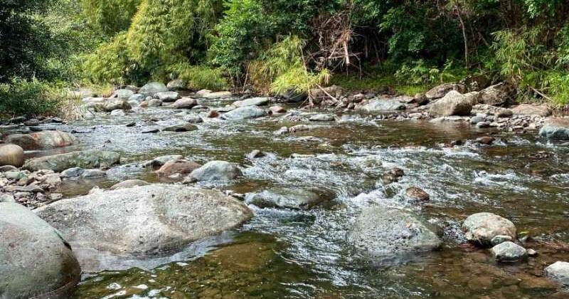 Rescatan a tres turistas y su guía atrapados por crecida en Charco Frío en Ceiba