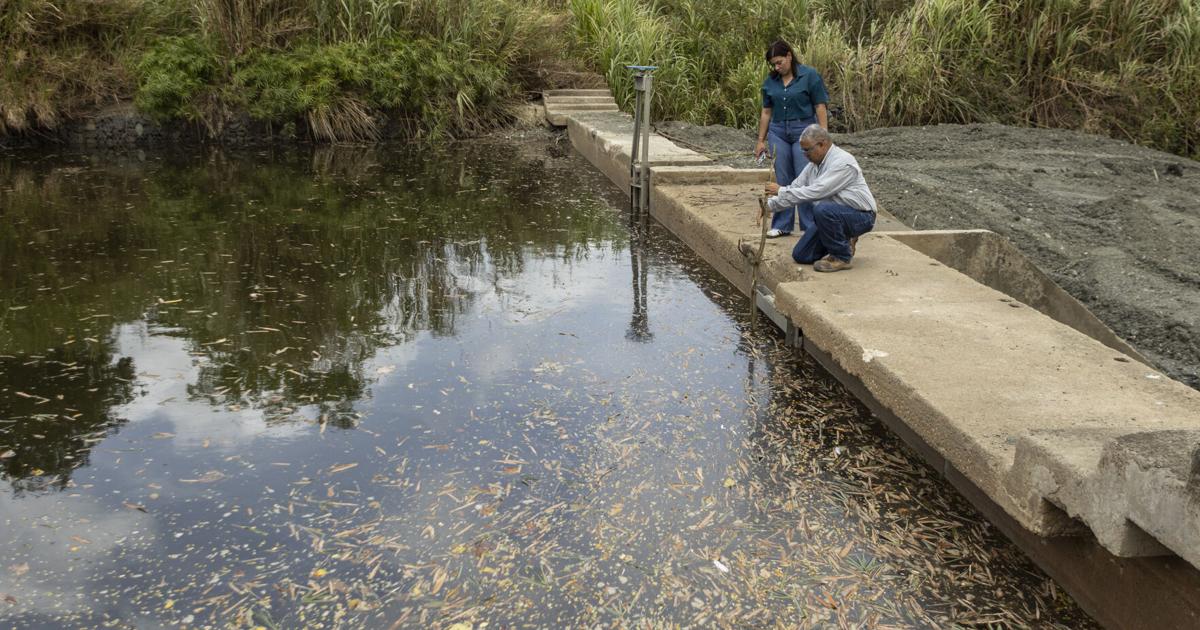 AAA no ha iniciado investigación por depósito de sedimento que afectó agua en Loíza