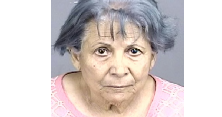 | Mujer de 76 años enfrenta varios cargos criminales