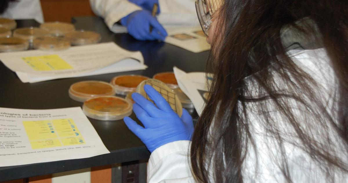 Campamento "Bacterias al rescate" lleva por primera vez el programa Tiny Earth a Puerto Rico