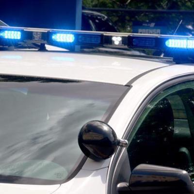 Atrapan caimán en medio de una calle en Barrio Obrero