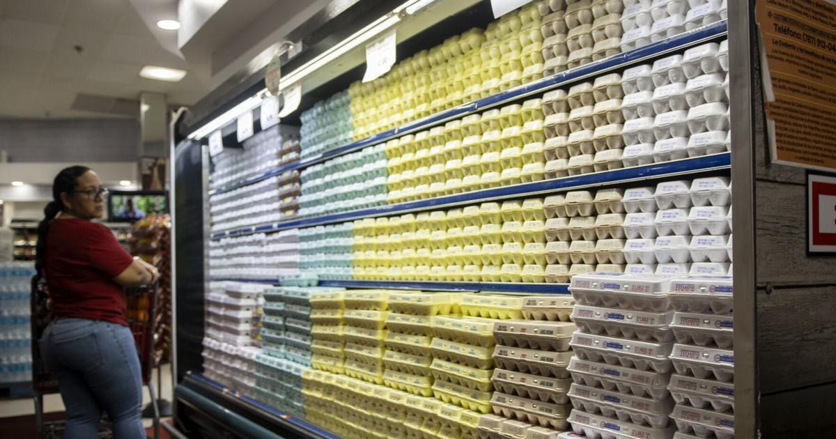 Caída del precio del huevo importado presiona competitividad de productores locales en PR
