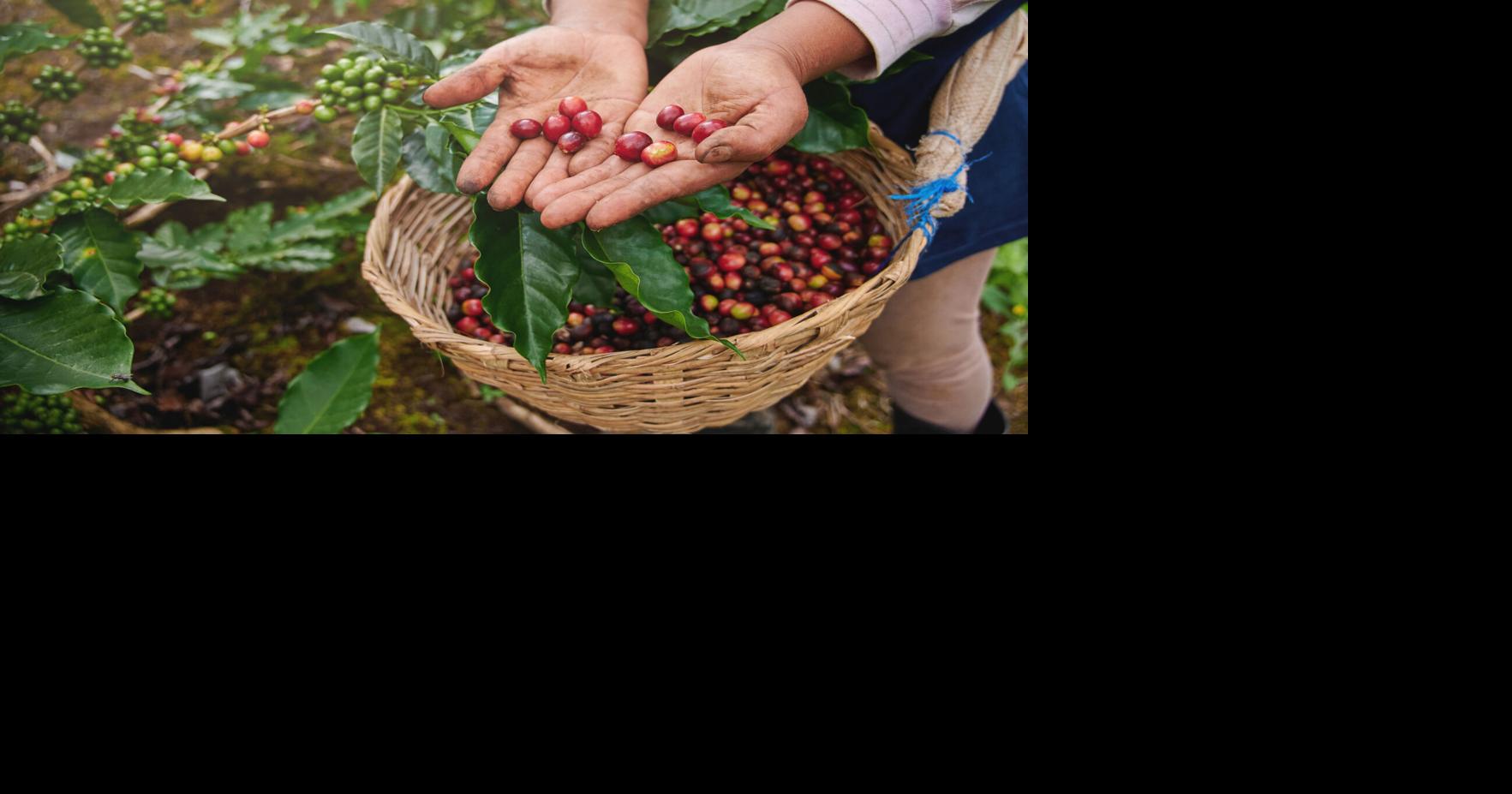 | Lee la columna de la licenciada Carmen Santiago Lizardi.