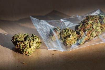 Marijuana in plastic bag