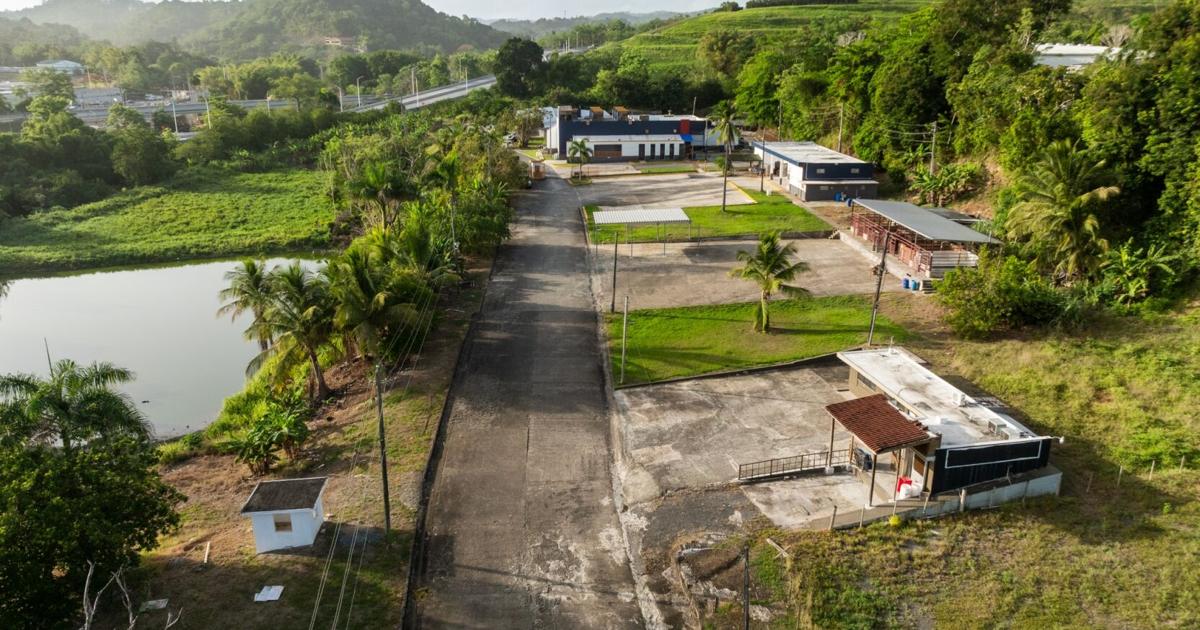 Multimillonaria inversión cooperativa impulsa procesamiento local de carne