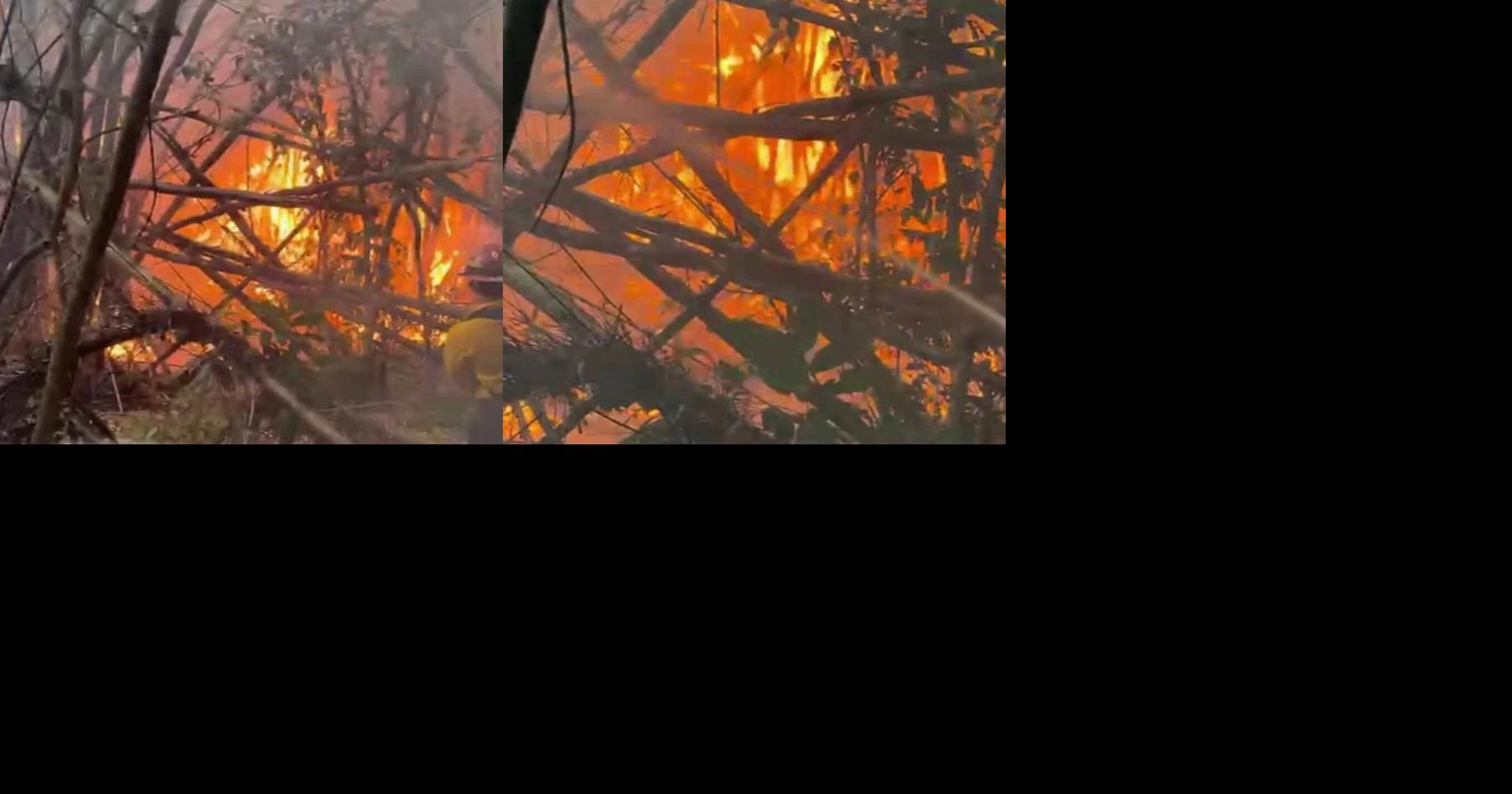 Alcalde de San Germán atribuye a "mano criminal" siete incendios forestales