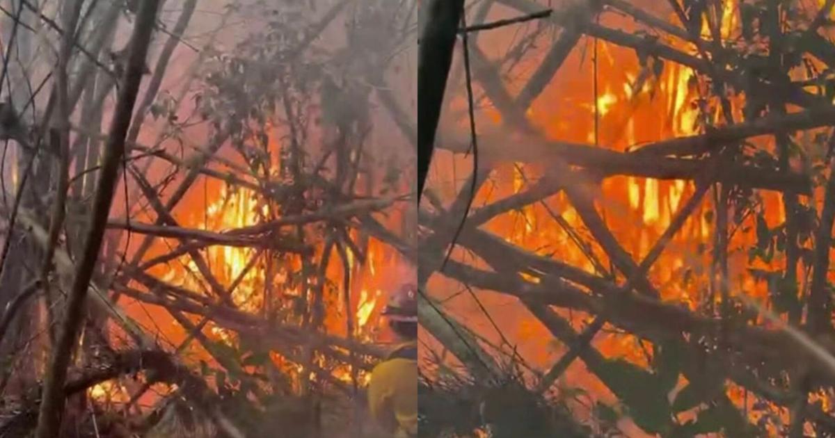 Alcalde de San Germán atribuye a "mano criminal" siete incendios forestales