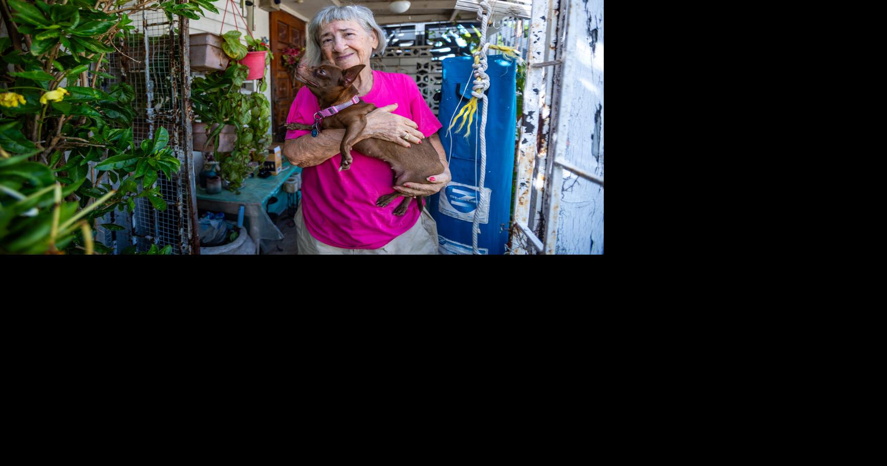 Octogenaria de San Juan espera hogar permanente tras intento de desahucio con sus tres perros