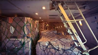 VÍDEO: Oso escapa de su jaula en la bodega de carga de un avión en Dubai