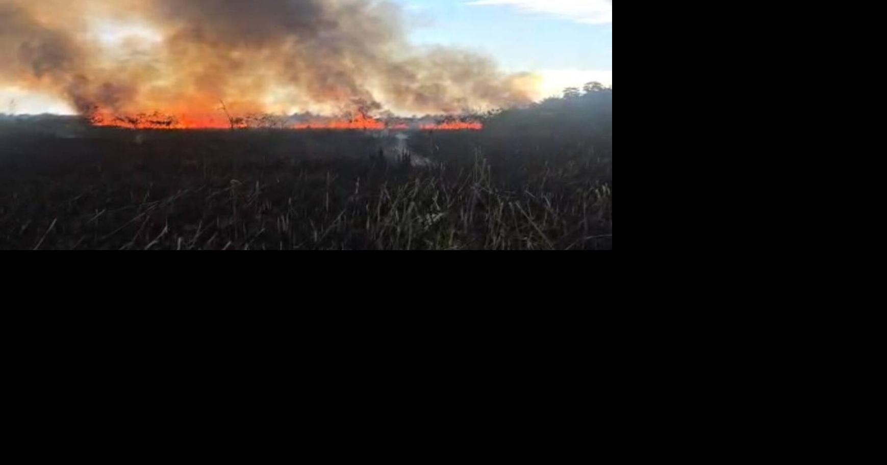 Reportan incendio forestal en Vega Baja