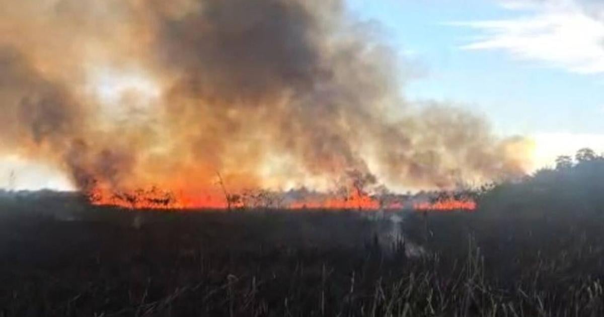 Reportan incendio forestal en Vega Baja