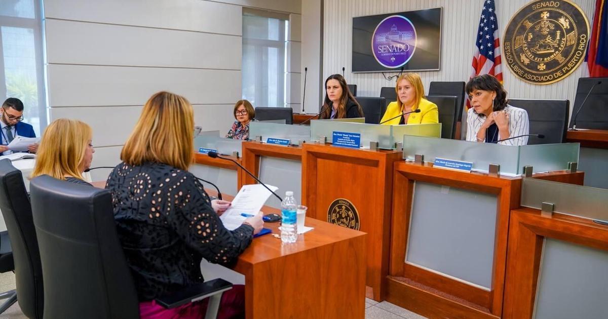 Oficina de Control de Animales en Salud: Dos Empleadas sin Presupuesto desde 2007