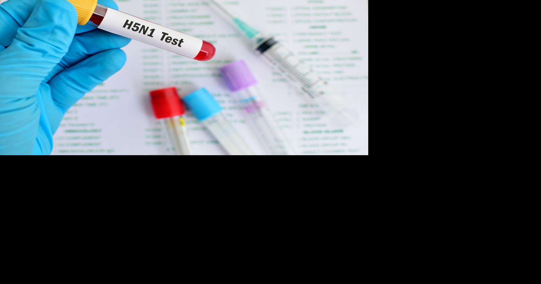 Salud de Puerto Rico monitorea casos de gripe aviar H5N1 en EE.UU. sin riesgo local identificado
