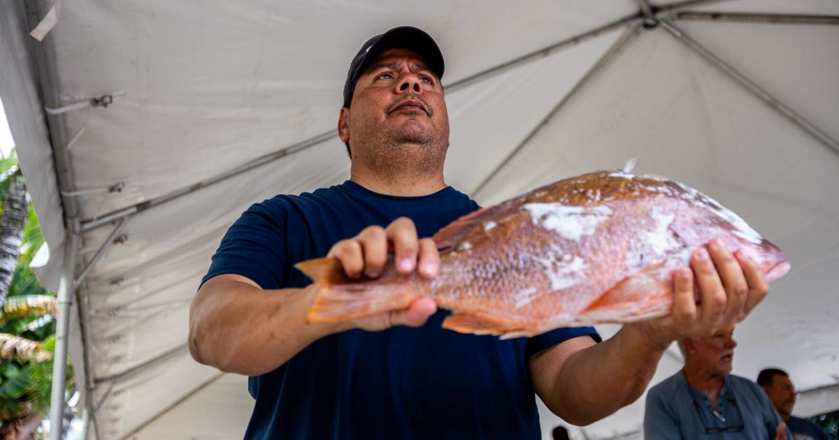 VIDEO: Pescador boricua muestra cómo verificar la frescura del pescado en Semana Santa