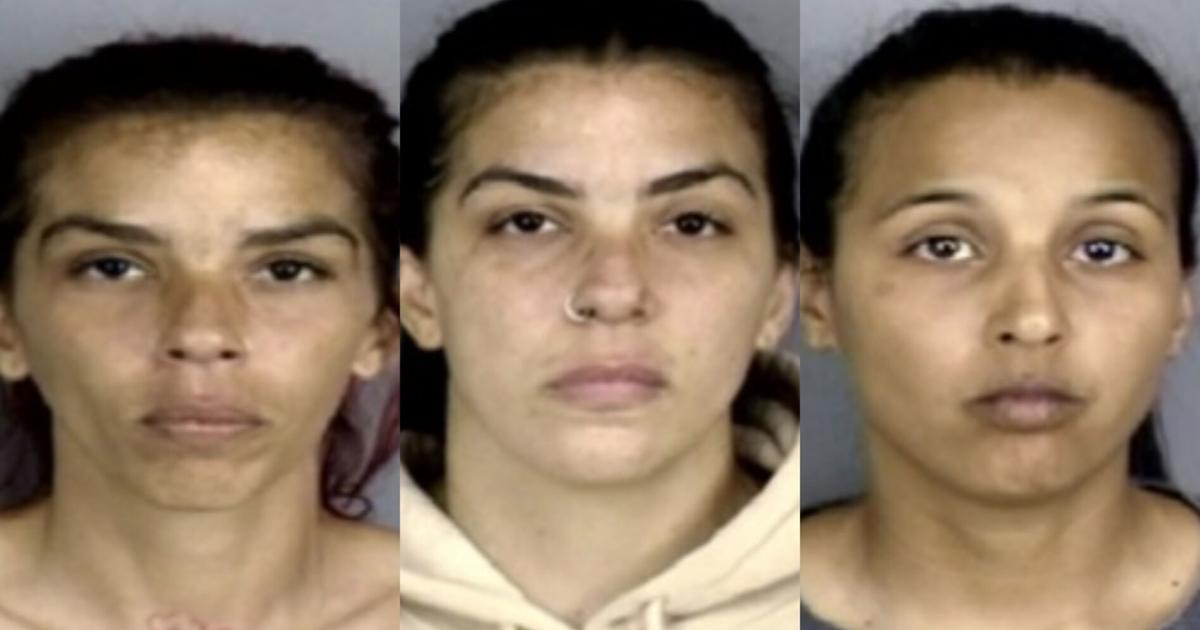 Radican cargos a tres mujeres por causar daños a vehículo tras conductor atropellar a perro