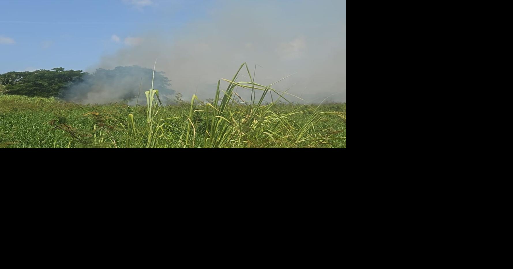 Incendio forestal afecta 57 cuerdas del Refugio de Vida Silvestre de Boquerón en Cabo Rojo